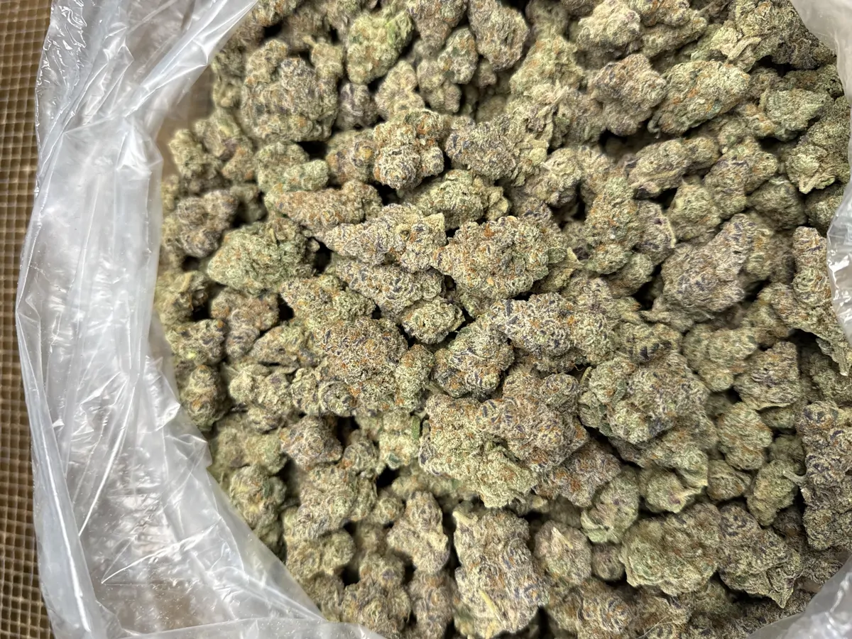 Blueberry Coma Flower